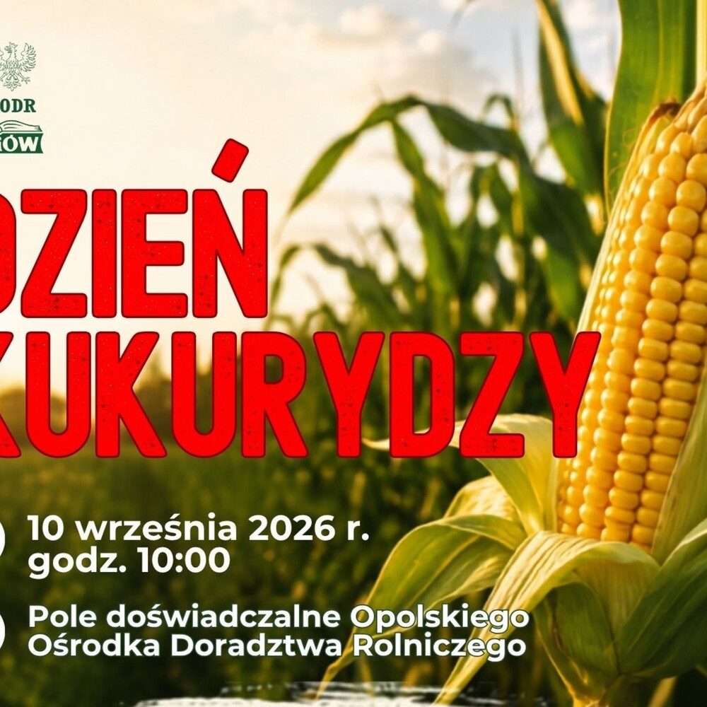 Dzień Kukurydzy w OODR w Łosiowie