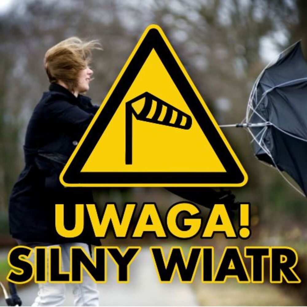 Silny wiatr w powiecie nyskim. Porywy do 85 km/h