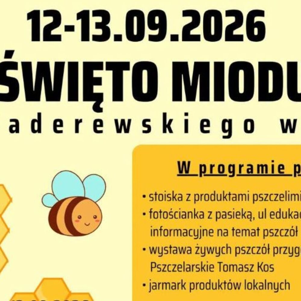 Święto Miodu na Placu Paderewskiego w Nysie